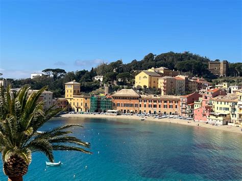 trans sestri levante|3516010301